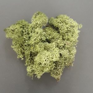 import placeholder for 3691