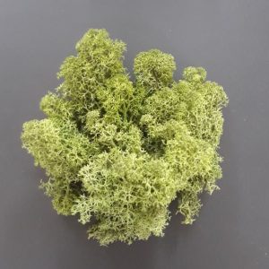 import placeholder for 3692