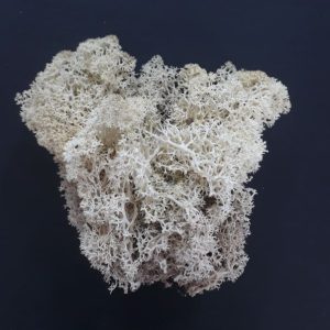 import placeholder for 3696