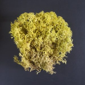 import placeholder for 3693