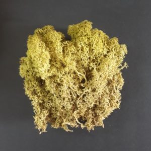 import placeholder for 3694