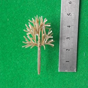 import placeholder for 3645