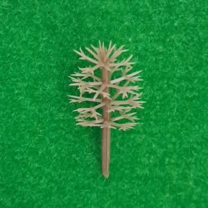 import placeholder for 3842