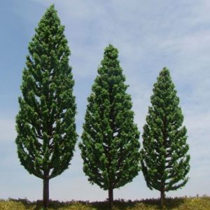 import placeholder for 3459