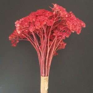 import placeholder for 3726