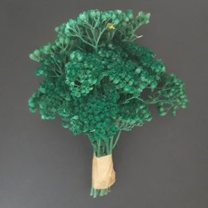 import placeholder for 3725