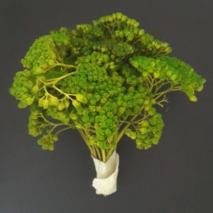 import placeholder for 3699